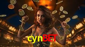 Security Systems cynbet